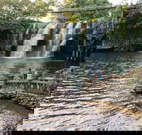 Paronella Park and Millaa Millaa Falls Full-day Tour from Cairns - QLD Tourism