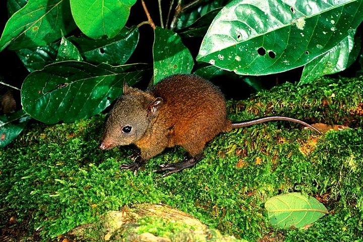 Cairns QLD QLD Tourism