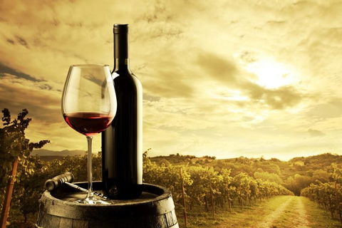 Barossa Valley Cellar Doors Luxury Wine Tour - QLD Tourism 0