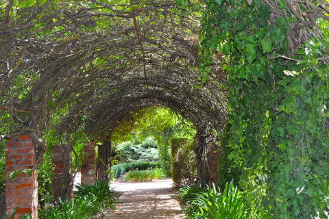 Barossa Valley Cellar Doors Luxury Wine Tour - QLD Tourism 3