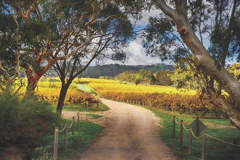 McLaren Vale Winery Small Group Tour With Wine Tasting And Lunch - QLD Tourism 1