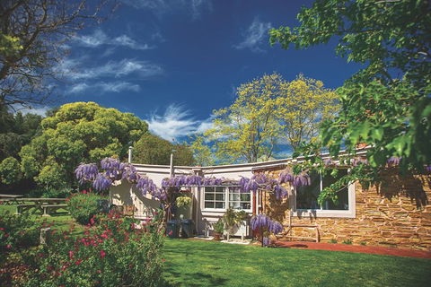 McLaren Vale Winery Small Group Tour With Wine Tasting And Lunch - QLD Tourism 2