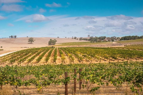 Barossa Valley Private Tour (from 2 To 11 People) - QLD Tourism 2