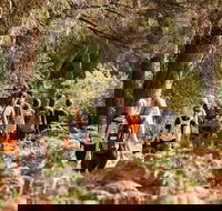 Half-Day Yanchep Ghost House Wilderness Guided Hike Tour - QLD Tourism