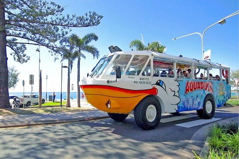 Aquaduck Sunshine Coast - QLD Tourism 1