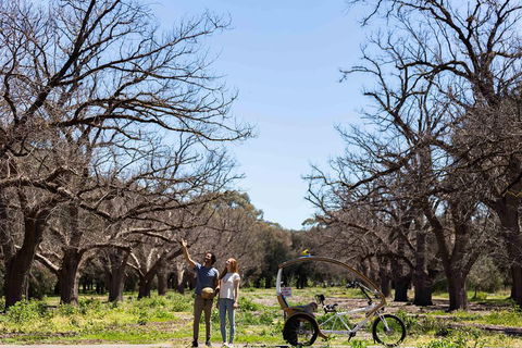 Adelaide 90-Minute Pedicab Tour: Scenic Green & River Experience - QLD Tourism 1