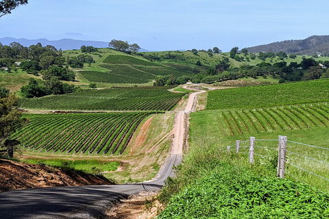 The Complete Hunter Valley Wine Tour Of Pokolbin, Mt View, Lovedale And Rothbury - QLD Tourism 0