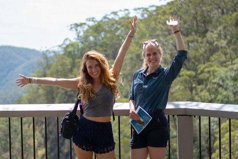 Full-Day Guided Hinterland Adventure Tour In Queensland - QLD Tourism 3