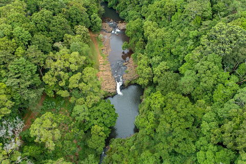 Full-Day Guided Hinterland Adventure Tour In Queensland - QLD Tourism 4