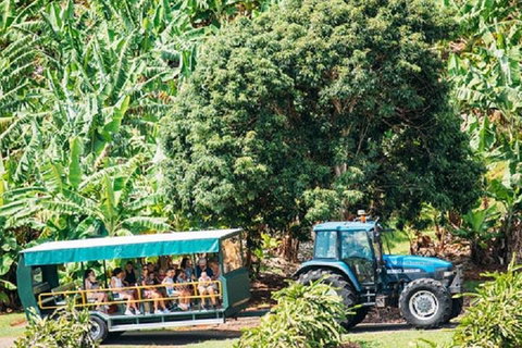 Tropical Fruit World With Wildlife Boat Cruise From Gold Coast - QLD Tourism 1