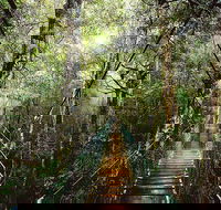 O'Reilly's  Lamington National Park from Gold Coast - QLD Tourism