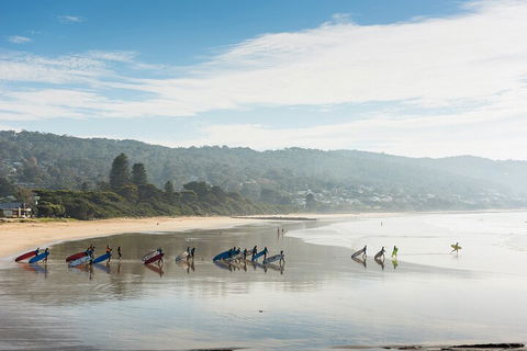 LGBT+ Friendly 12-Hour Great Ocean Road Private Tour - QLD Tourism 2
