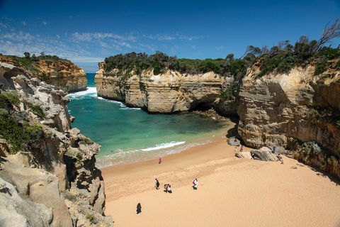 LGBT+ Friendly 12-Hour Great Ocean Road Private Tour - QLD Tourism 5