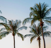 Darwin City Sightseeing Tour - QLD Tourism