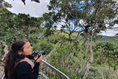 Lamington National Park, O'Reilly's & Vineyard Tour - QLD Tourism 1