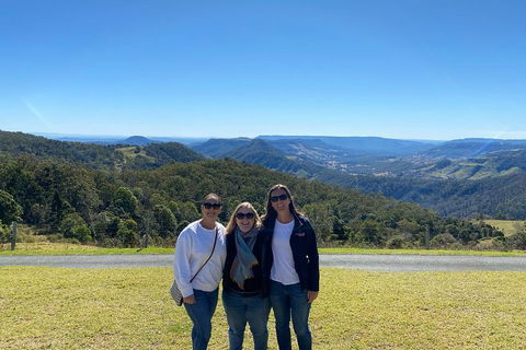 Lamington National Park, O'Reilly's & Vineyard Tour - QLD Tourism 3