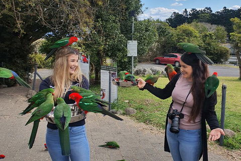 Lamington National Park, O'Reilly's & Vineyard Tour - QLD Tourism 5
