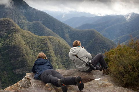 Inside The Greater Blue Mountains World Heritage - A Private Wildlife Safari Overnight - QLD Tourism 0