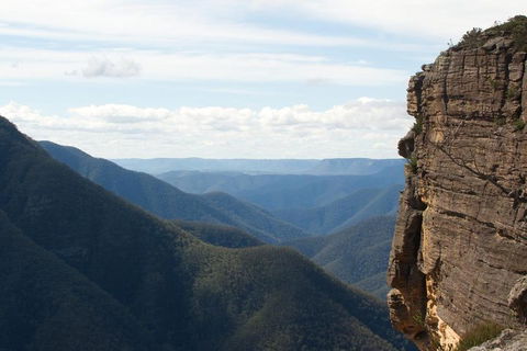 Inside The Greater Blue Mountains World Heritage - A Private Wildlife Safari Overnight - QLD Tourism 4