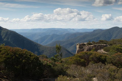 Inside The Greater Blue Mountains World Heritage - A Private Wildlife Safari Overnight - QLD Tourism 5