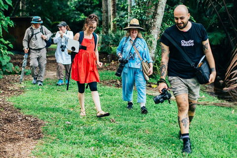 Let's Go Buggin & Let's Go Shroomin - Photography & Nature Walking Tours - QLD Tourism 0