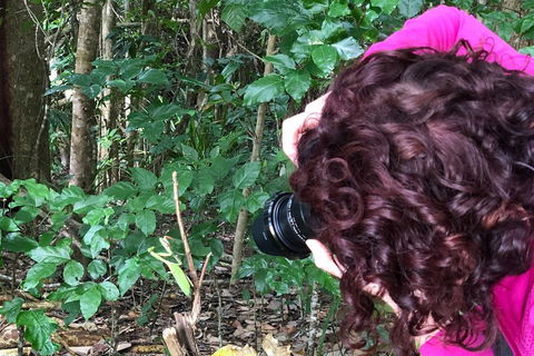 Let's Go Buggin & Let's Go Shroomin - Photography & Nature Walking Tours - QLD Tourism 1