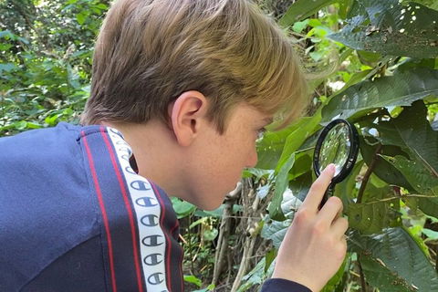 Let's Go Buggin & Let's Go Shroomin - Photography & Nature Walking Tours - QLD Tourism 3