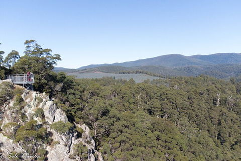 Leven Canyon Day Trip Including Wings Wildlife Park Or Gunns Plains Caves - QLD Tourism 2