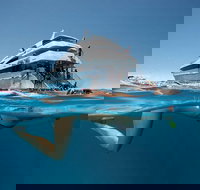 3 Day Great Barrier Reef Daintree Rainforest and Outback Chillagoe Tour - QLD Tourism