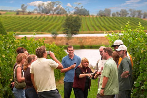 Yarra Valley Balloon Flight And Winery Tour - Queensland Tourism 4