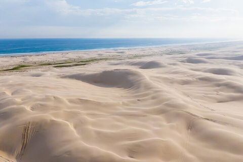 Port Stephens Bush, Beach And Sand Dune 4WD Passenger Tour - QLD Tourism 2