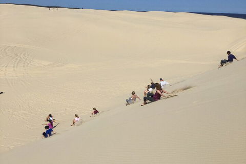 Port Stephens Bush, Beach And Sand Dune 4WD Passenger Tour - QLD Tourism 4