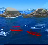 3-Hour Byron Bay Certified Scuba Diving Tour - QLD Tourism