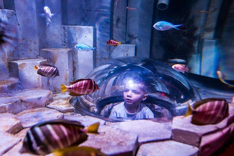 Melbourne BIG Ticket - LEGOLAND Discovery And SEA LIFE Melbourne - QLD Tourism 5