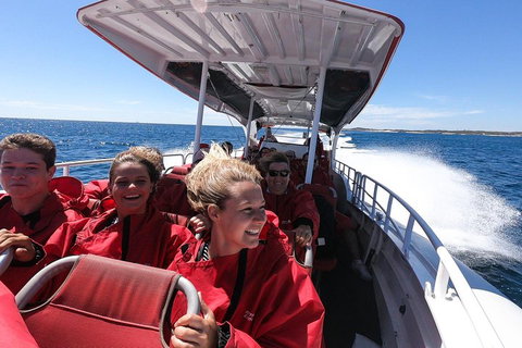 Adventure Rottnest Tour With Ferry & Adventure Cruise From Perth Or Fremantle - Queensland Tourism 0
