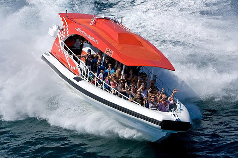 Adventure Rottnest Tour With Ferry & Adventure Cruise From Perth Or Fremantle - Queensland Tourism 2
