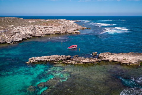 Adventure Rottnest Tour With Ferry & Adventure Cruise From Perth Or Fremantle - Queensland Tourism 3