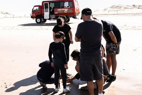 Beach & Dune - QLD Tourism 3