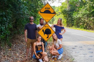 Cape Tribulation, Daintree Rainforest and Wildlife Tour