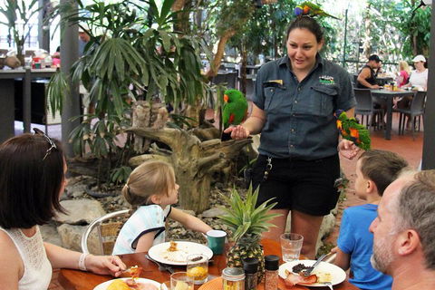 Wildlife Habitat Port Douglas - QLD Tourism 2