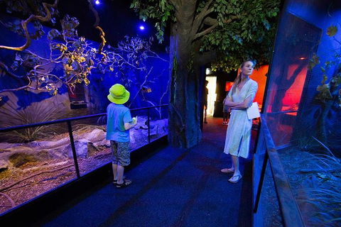 Wildlife Habitat Port Douglas - QLD Tourism 4