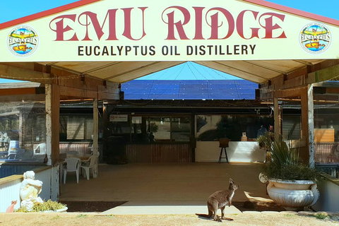 2 Day Ultimate Kangaroo Island With Return Ferry - Queensland Tourism 3