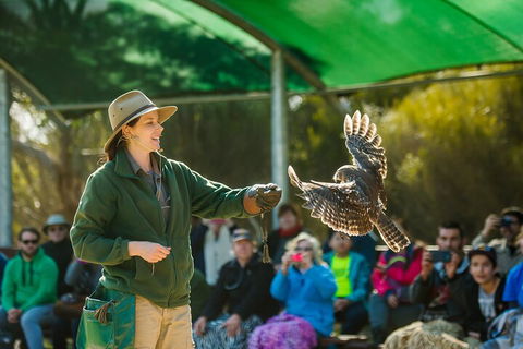 Full Day Kangaroo Island Sip And See Tour Departing From Kangaroo Island - QLD Tourism 1