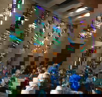 Cairns Shore Excursion Cairns City Sights  Surrounds Tour - QLD Tourism