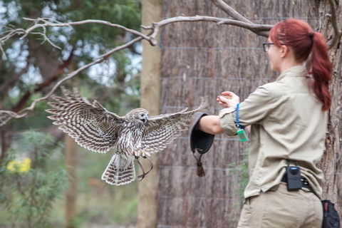 Moonlit Sanctuary Wildlife Conservation Park Daytime General Entry Ticket - Queensland Tourism 1