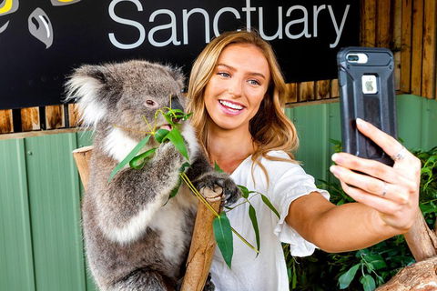 Moonlit Sanctuary Wildlife Conservation Park Daytime General Entry Ticket - Queensland Tourism 4
