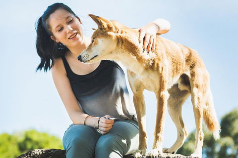 Moonlit Sanctuary Wildlife Conservation Park Daytime General Entry Ticket - Queensland Tourism 5