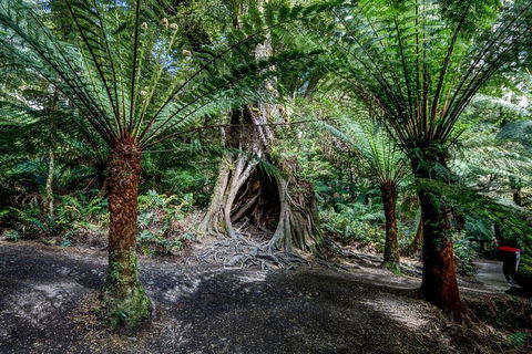 Adelaide To Melbourne 3-Day Trip Through Grampians And Great Ocean Road - QLD Tourism 0