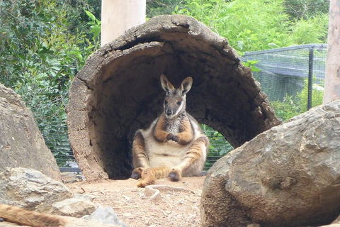 Featherdale Wildlife Park General Admission - QLD Tourism 2
