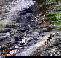Full-Day Canyoning Experience at Stunning Empress Canyon - QLD Tourism